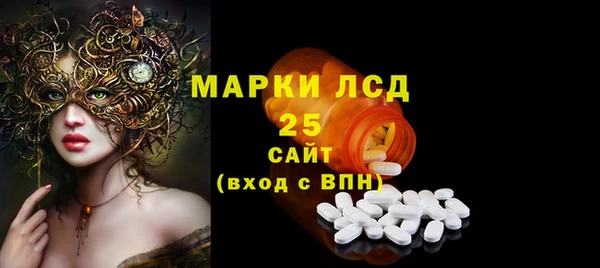 гидра Кулебаки
