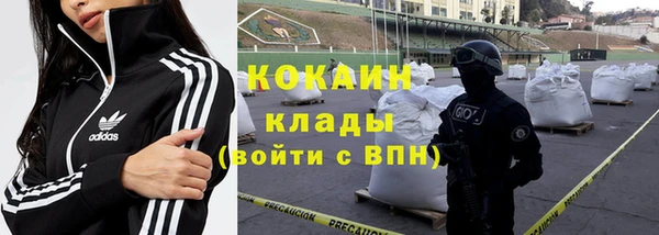гидра Кулебаки