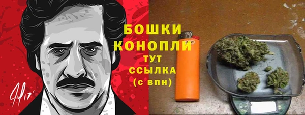 гидра Кулебаки
