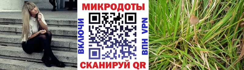 Псилоцибиновые грибы Magic Shrooms  мега tor  Сызрань 